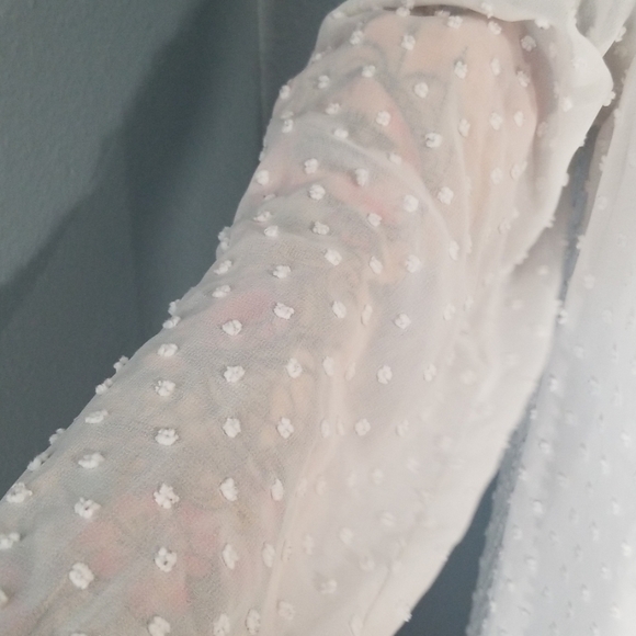 BB Dakota Swiss Dot Dress - Picture 8 of 8